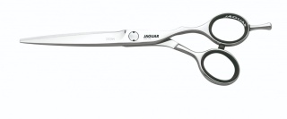 Nożyczki fryzjerskie Jaguar OCEAN 5,75" SILVER LINE - More JAGUAR nr.54